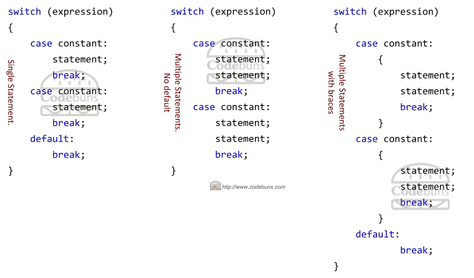 C# switch Statement Example