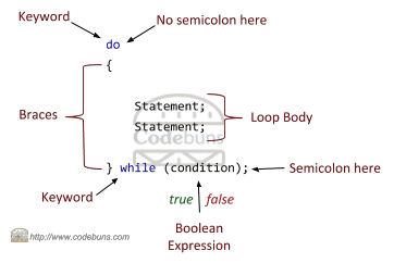 C#'s do-while loop structure