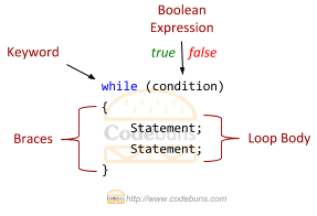 C#'s while structure