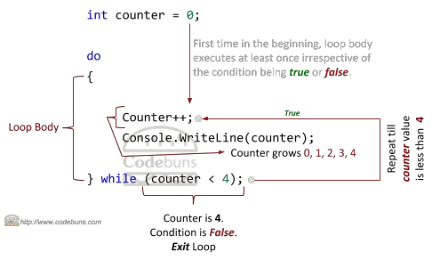 C#'s do-while loop example