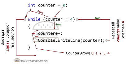 C#'s while loop example